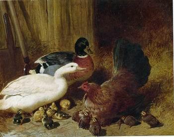 unknow artist Poultry 086 oil painting image